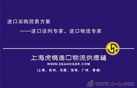 專業護航，高效通關 上海進口報關代理服務全解析